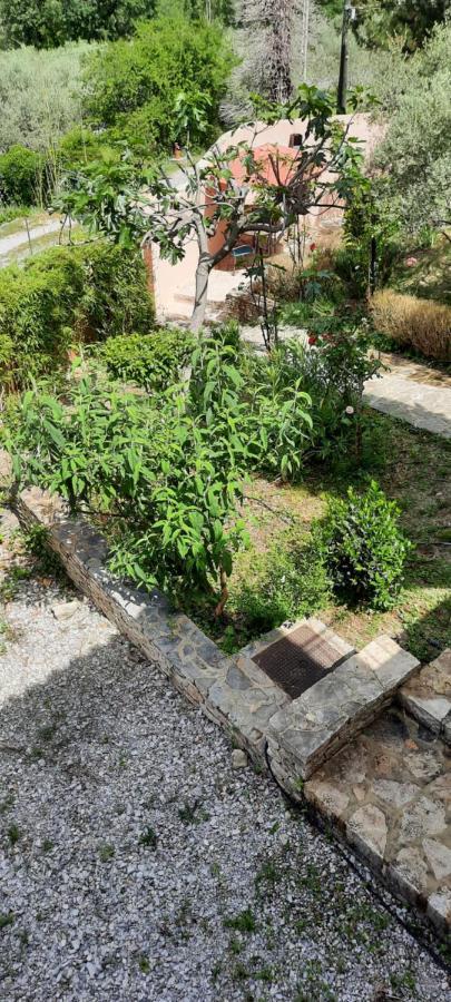 Maison Provence Avec Piscine Privative Nyons Dış mekan fotoğraf